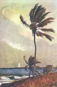 Palm Tree Nassau Winslow Homer