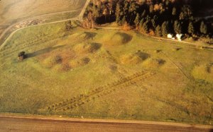 03 Sutton Hoo, several mounds, c_1983_jpg