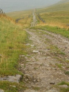 roman-road-bainbridge-geograph-e1400883247896