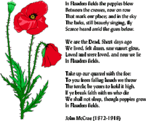 In_flanders_field_poppy_thumb