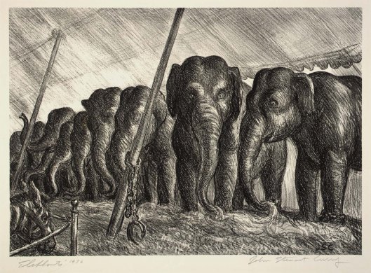2circuselephants1936.jpg