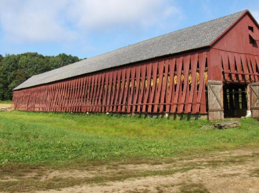 19tobaccobarn.jpg