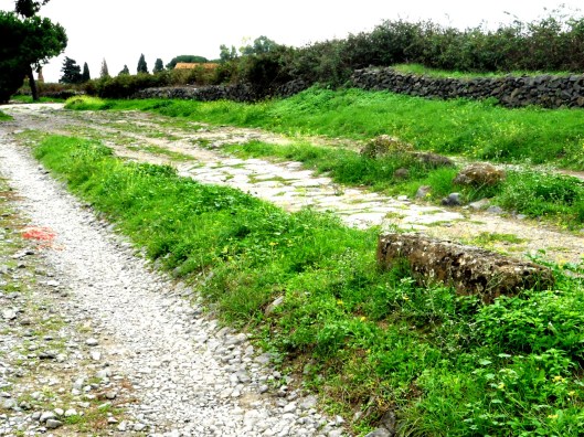 6overgrownromanroad.JPG