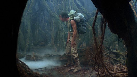 2lukedagobah.jpeg