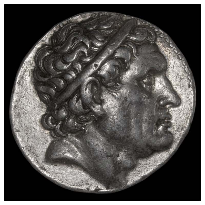 image8seleucus.jpg