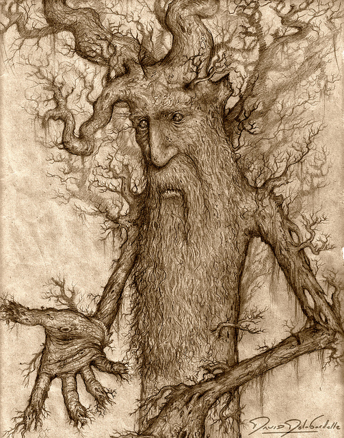image22treebeard.jpg