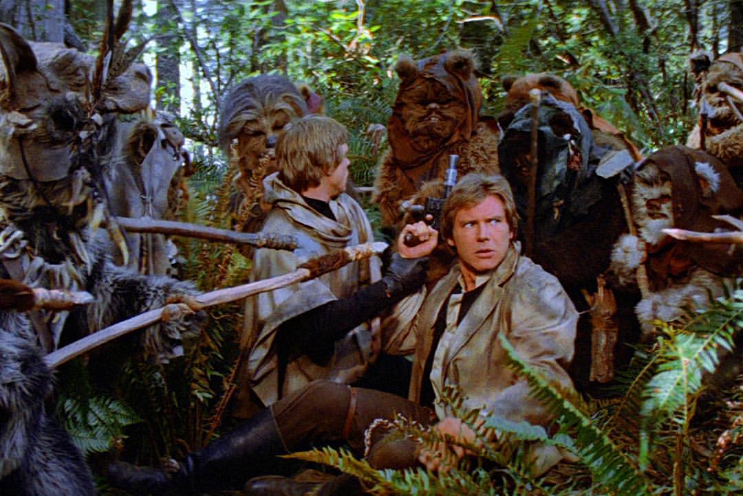 image19ewoks.jpg