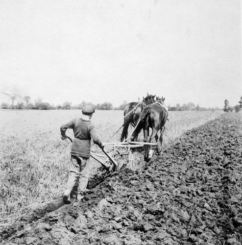 image19plowing.jpg