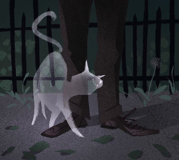 image1ghostcat.jpg