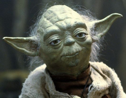 image19yoda.jpg