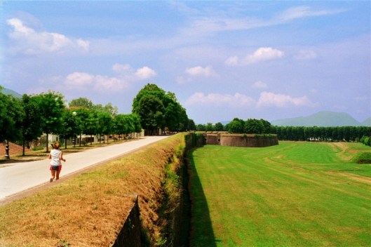 image8dlucca.jpg