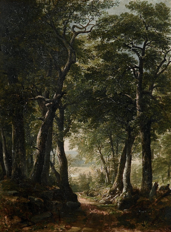 12. DurandΓÇöForest track