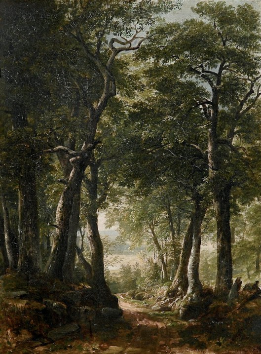 12. DurandΓÇöForest track