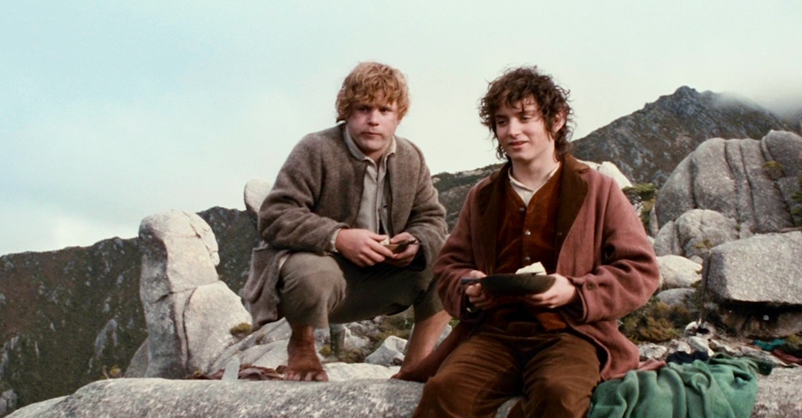 9. Sam looks out with Frodo.jpg